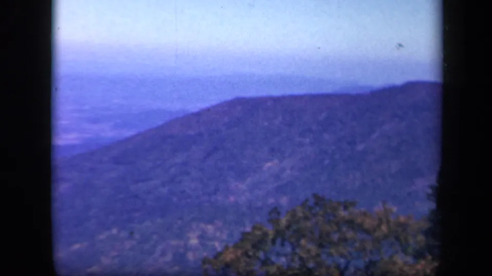 A soft blue mountain vista appears from Skyline Drive, Virginia, framed by foreground trees and 8mm film edges.