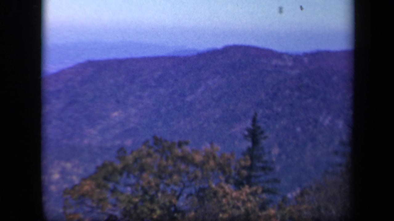 Blue-purple mountain ridge behind foreground trees and dark film-frame edges.