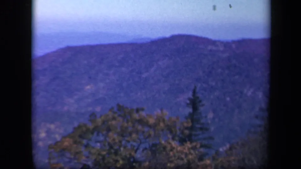 Skyline Drive mountain vista with a wooded ridge, pale sky, and foreground trees in 8mm color footage.