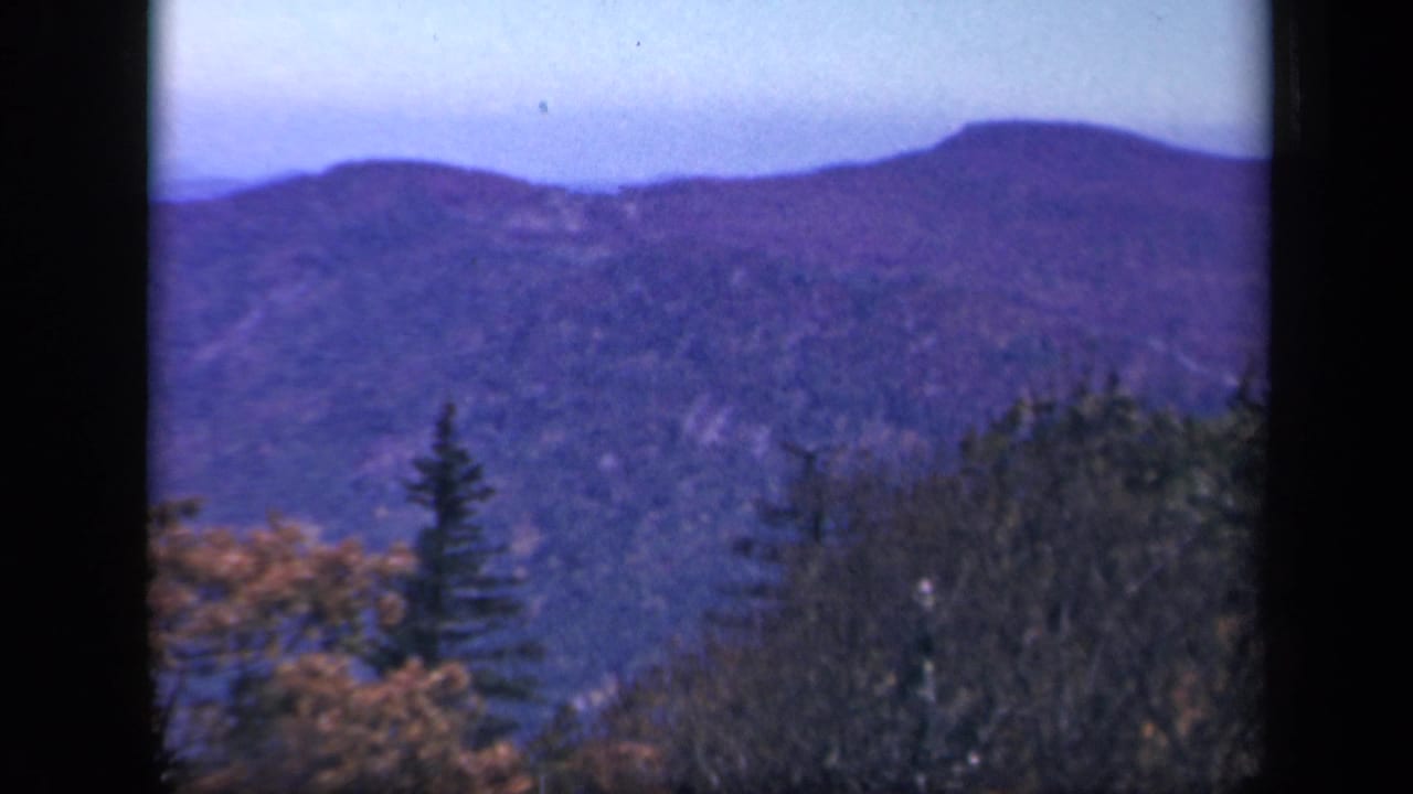 Mountain ridge and wooded foreground with evergreens and fall-colored trees under a pale sky.