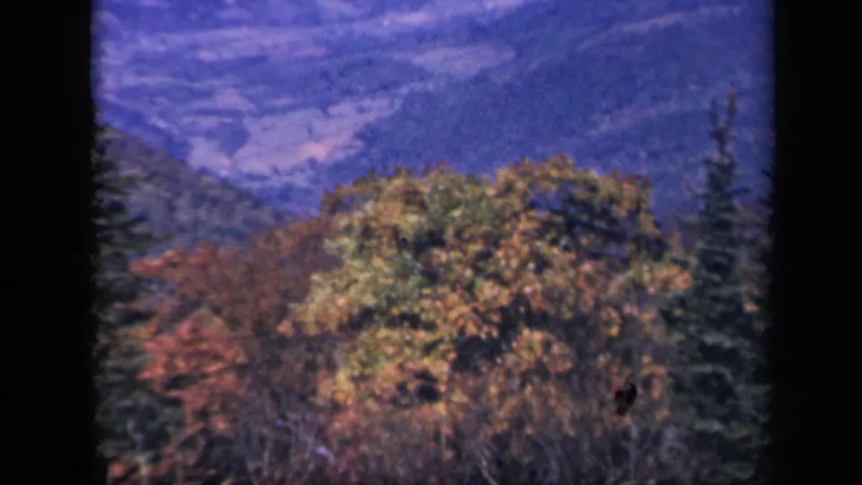 Skyline Drive home-movie frame showing colorful fall treetops, evergreens and a hazy Blue Ridge valley landscape.