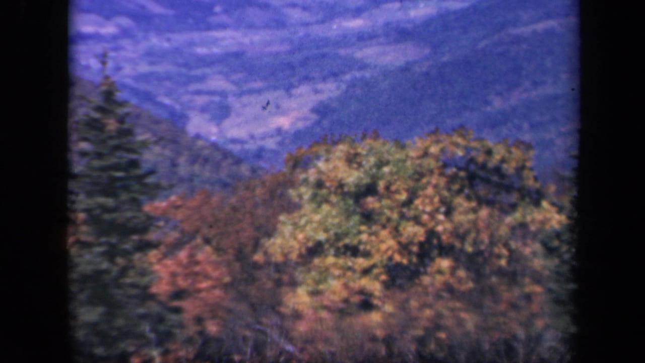 1943 Skyline Drive home-movie frame showing blue mountain ridges and foreground autumn trees with an evergreen at left.