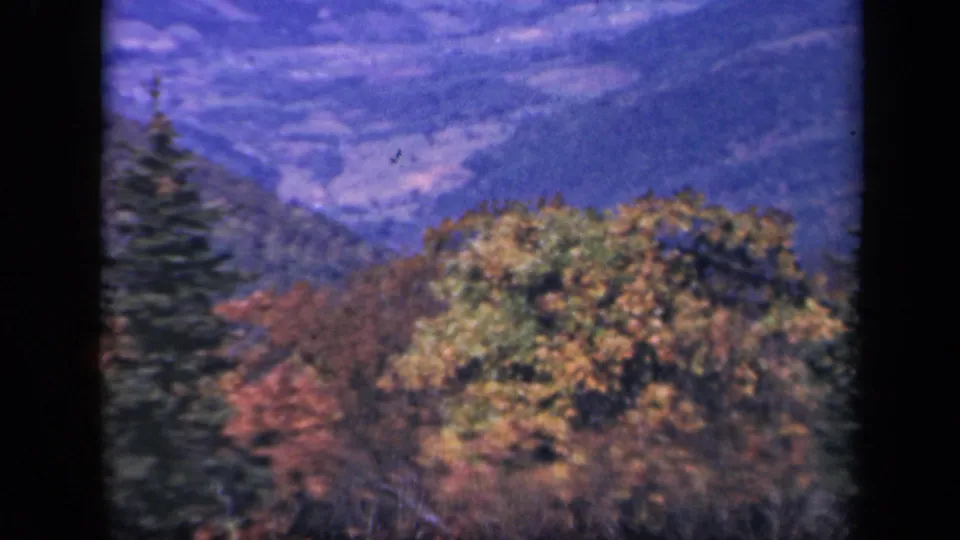 1943 Skyline Drive home-movie frame showing blue mountain ridges and foreground autumn trees with an evergreen at left.