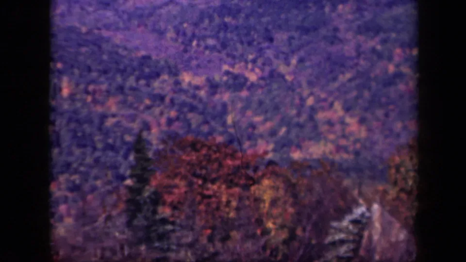 1943 home-movie frame of autumn foliage across wooded Virginia hills, with distant fields barely visible through haze.