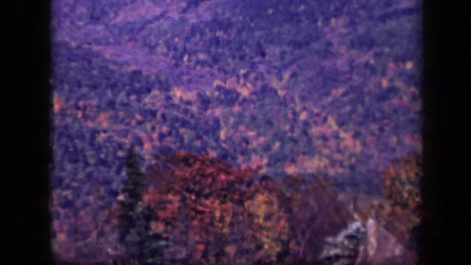 Skyline Drive 8mm frame showing red autumn trees, evergreens, and layered wooded hills in Virginia.