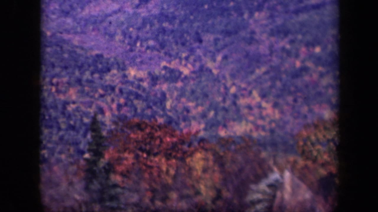 Soft 8mm view of a mountain road through autumn-colored trees and hazy ridges.