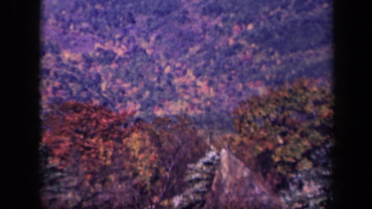 Skyline Drive landscape with a narrow road, colored trees, and distant Blue Ridge hills in a soft 8mm frame.