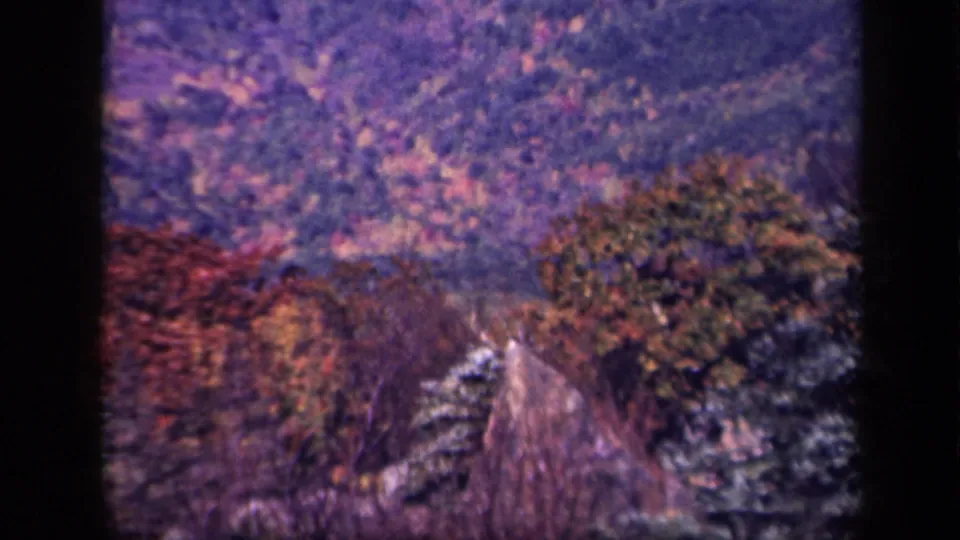 1940s 8mm view along Skyline Drive, with a road descending through colorful trees and soft mountain haze.