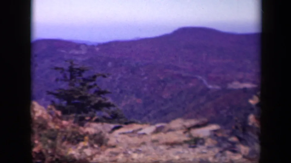 Skyline Drive overlook frame showing rocks, a small evergreen, and hazy Blue Ridge ridgelines under a pale sky.