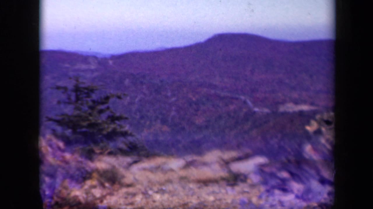 Soft mountain vista with rocky foreground, evergreen trees, and a purple-tinted sky.
