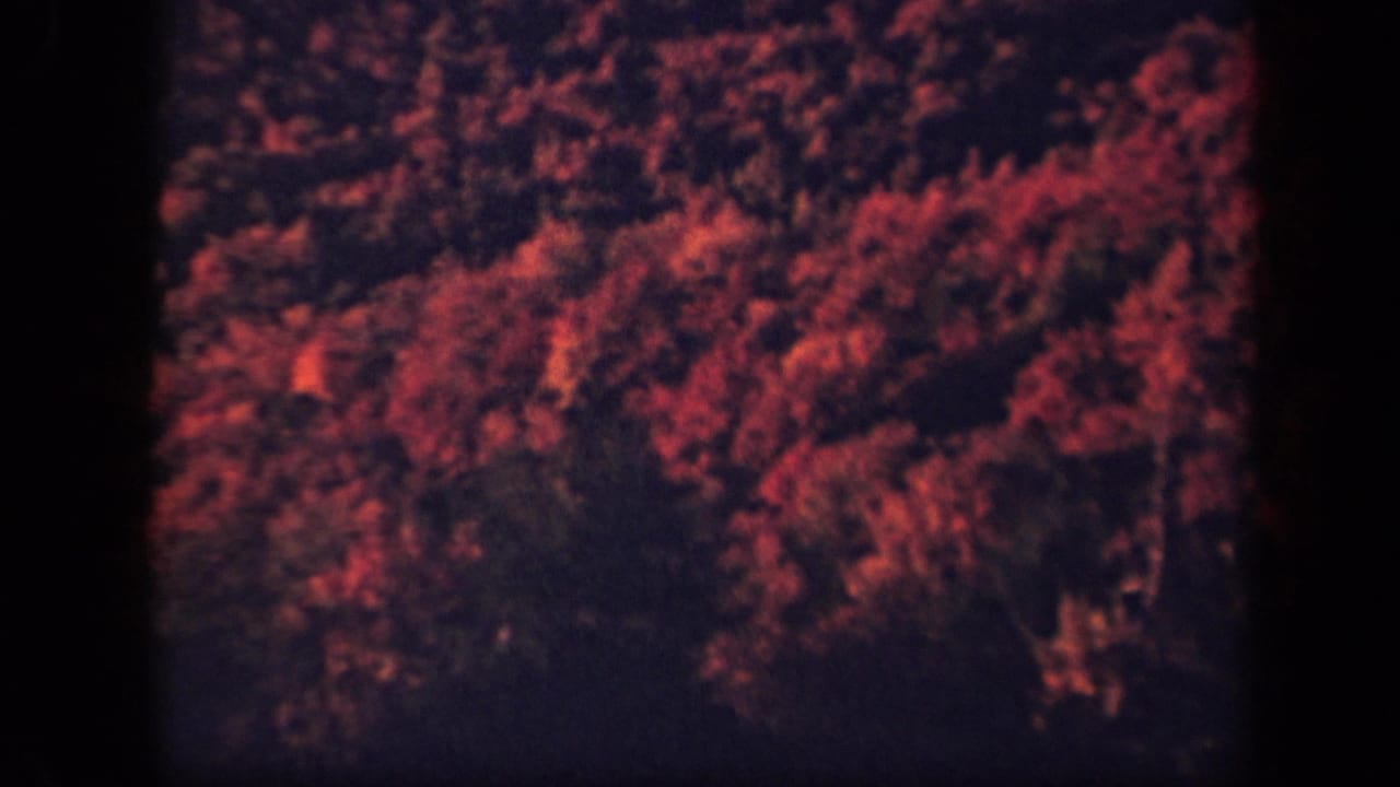 Soft-focus autumn treetops in red and orange tones with dark frame edges.