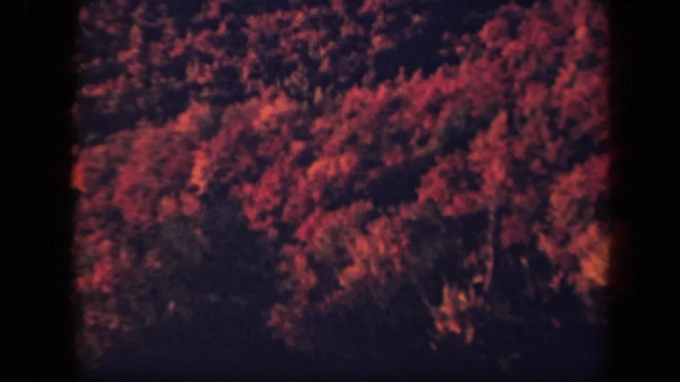 Skyline Drive, Virginia 8mm footage showing a dense autumn treetop view with red foliage and darker wooded areas.