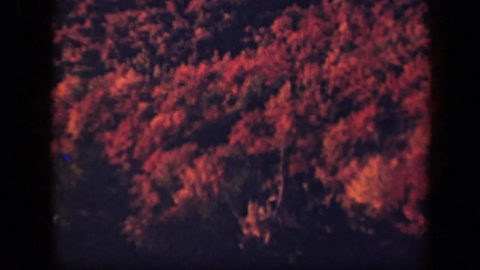 Final 8mm frame of the Skyline Drive forest view, showing red-orange autumn canopy and dark vintage film borders.
