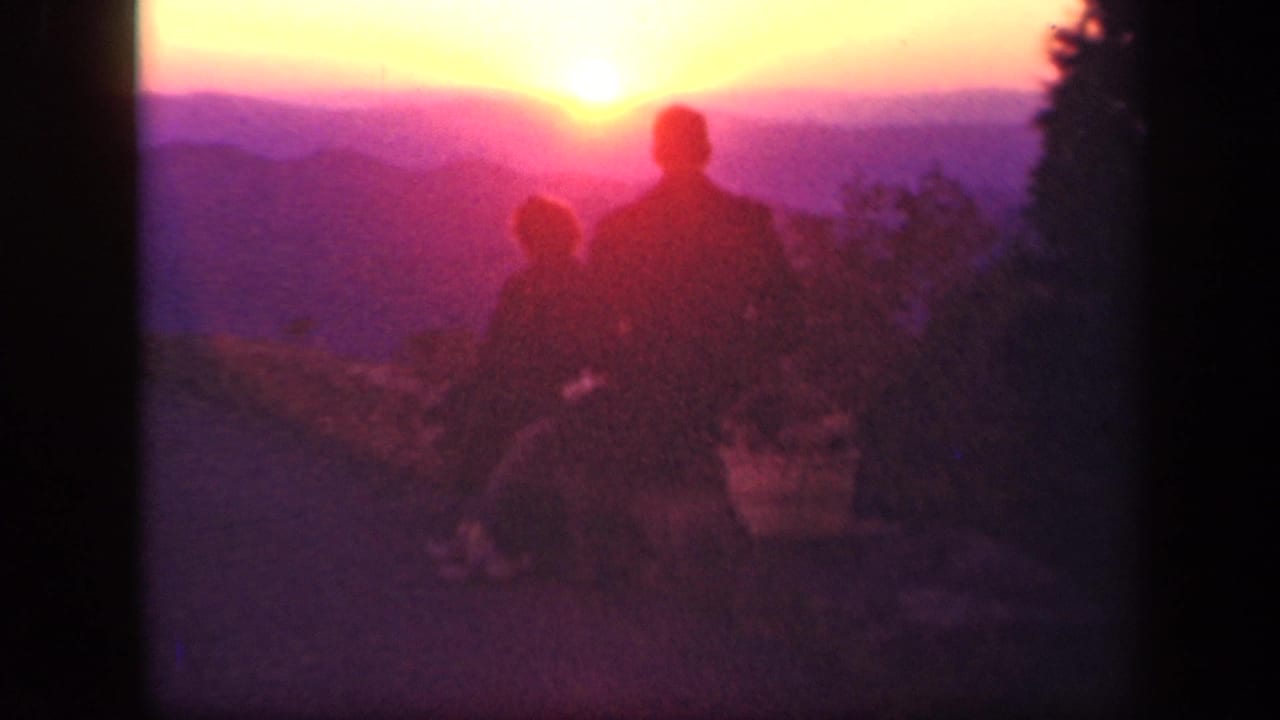 A silhouetted couple is framed beside dark roadside vegetation during a 1943 Skyline Drive sunset.