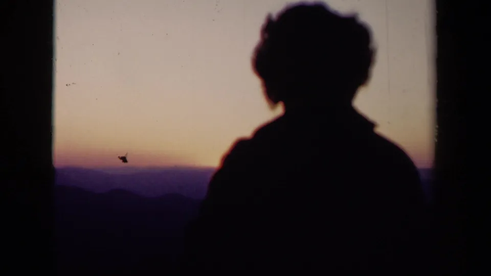 The final frame shows a close head-and-shoulders silhouette against the 1943 Skyline Drive sunset and distant mountain horizon.