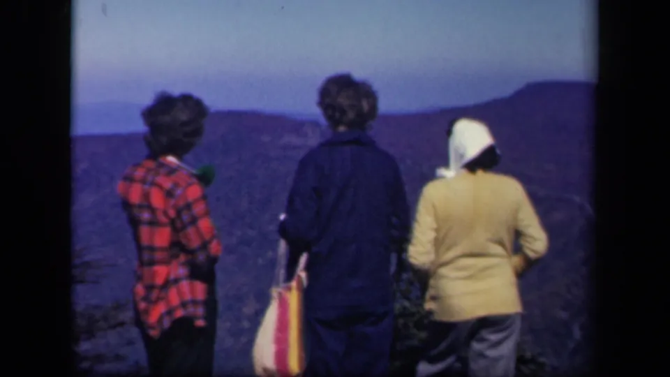 Three women at a Skyline Drive overlook in 1943 look across mountain ridges, with one holding a striped bag.