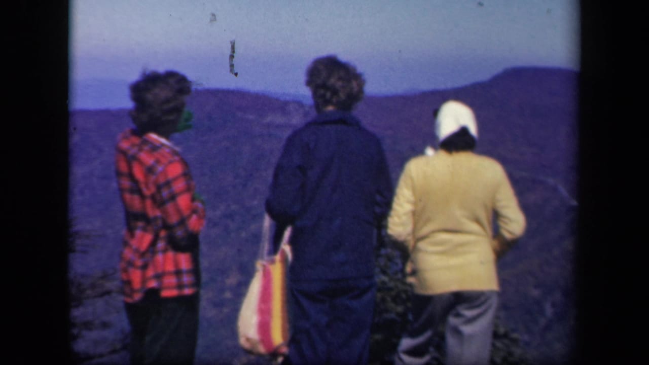 Three women at the Skyline Drive overlook face the mountains, with a striped tote hanging from one arm.