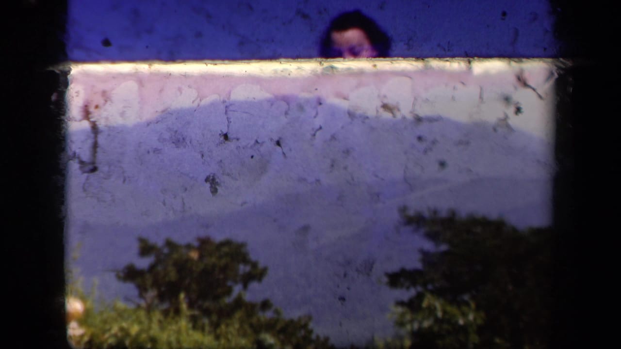 A soft 8mm frame shows blue mountain ridges and foreground trees at Skyline Drive, with part of a person visible near the upper edge.