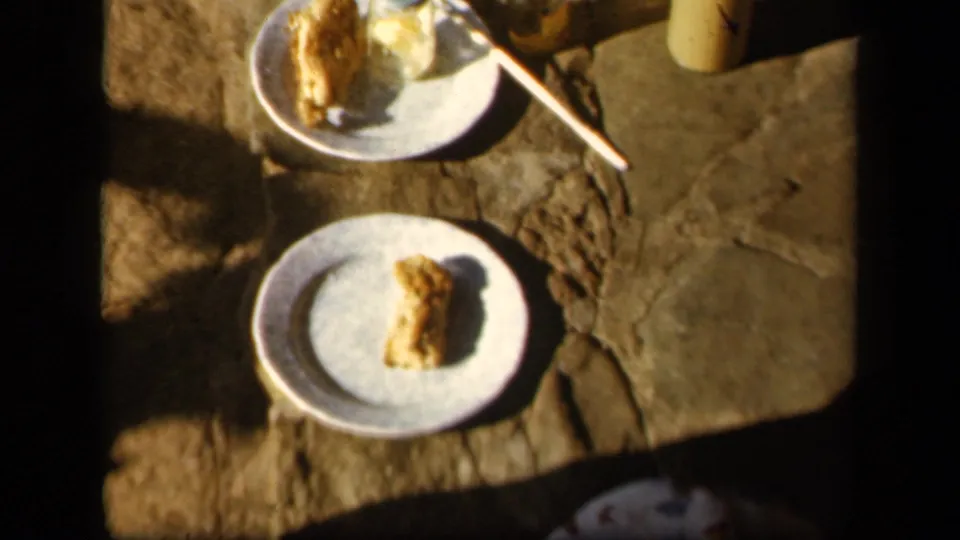 Close 1943 picnic detail at Skyline Drive, Virginia, with white plates, fried chicken or bread, utensils, and cups on stone ground.
