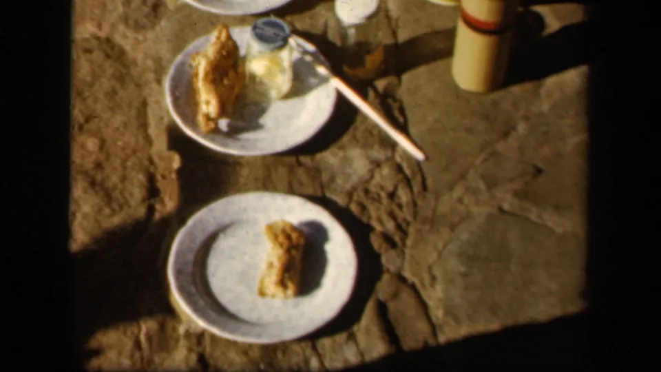 A close picnic cutaway shows plates of fried chicken or bread with cups and a utensil on stone ground in 1943 Skyline Drive footage.