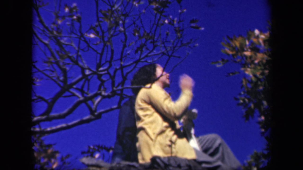 Woman in a yellow sweater sits high in a tree against a blue sky.
