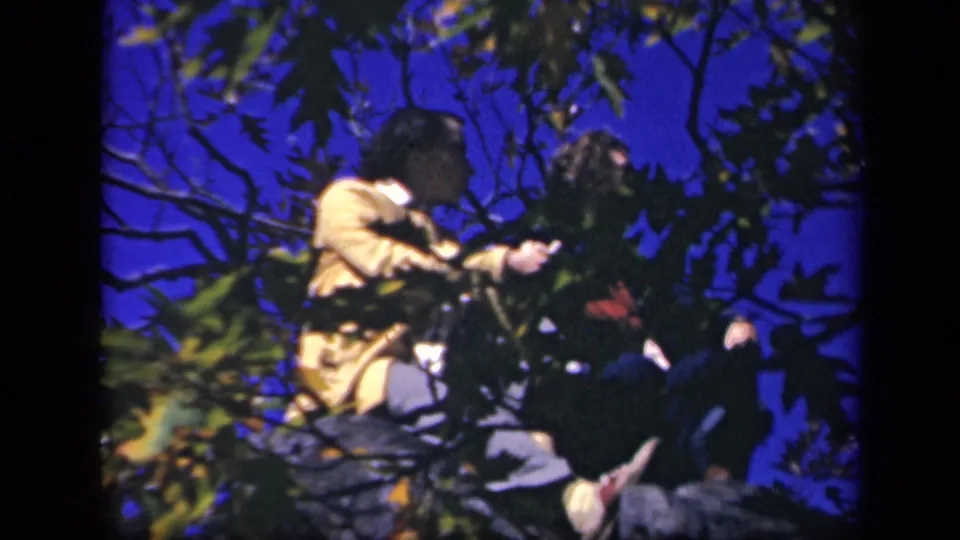 Two women sit high in a tree at Skyline Drive, with one in a yellow sweater and the other in dark clothing.