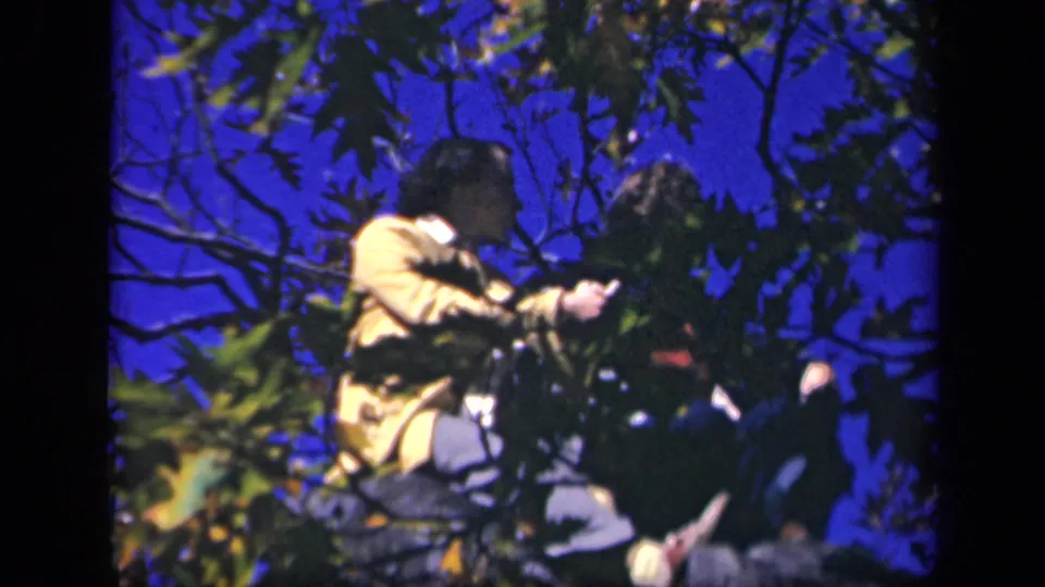 Home-movie frame of two women perched in a tree, with the woman in yellow turned toward her companion.