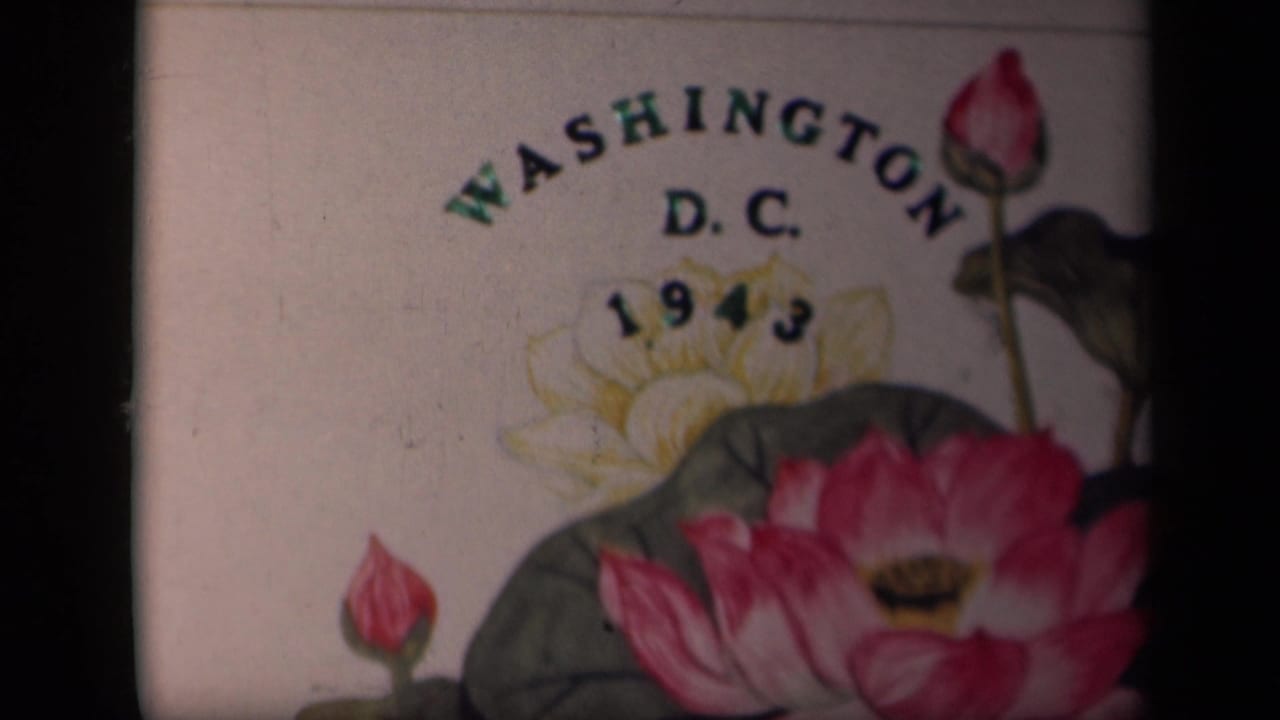 1943 Washington D.C. 8mm title card with pink lotus flowers, green leaves, and arched place text.