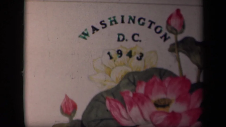 1943 Washington D.C. 8mm title card with pink lotus flowers, green leaves, and arched place text.