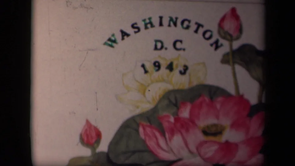 Soft 8mm frame of a Washington D.C. 1943 floral title card with lotus blossoms and muted color.