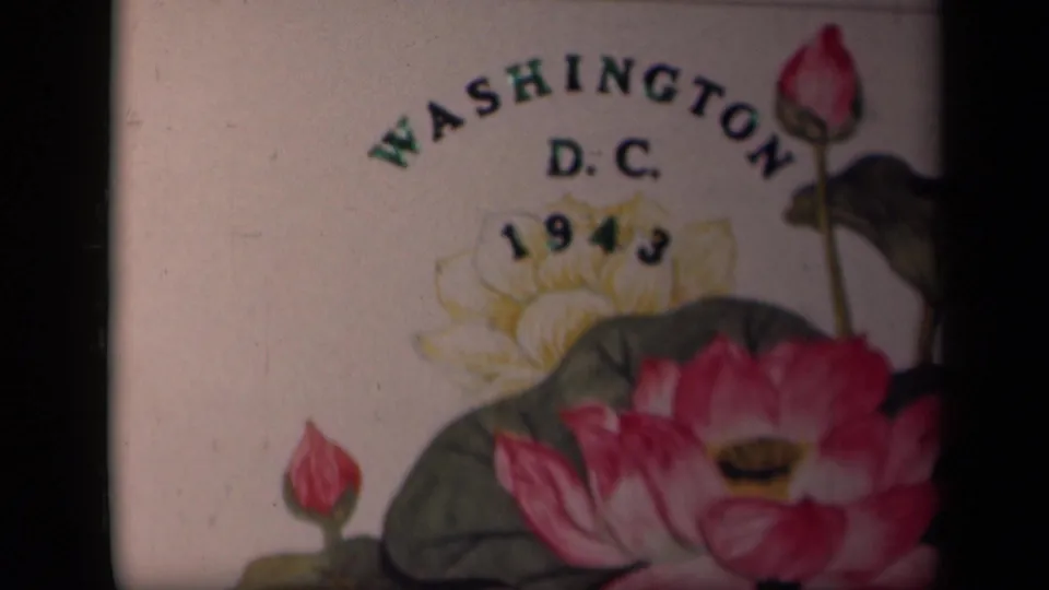 Dated 1943 Washington D.C. title card on 8mm film, showing lotus flowers, leaves, grain, and edge darkness.
