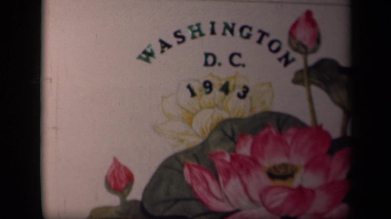 1943 Washington, D.C. title card with floral artwork, partially framed by dark 8mm film edges.