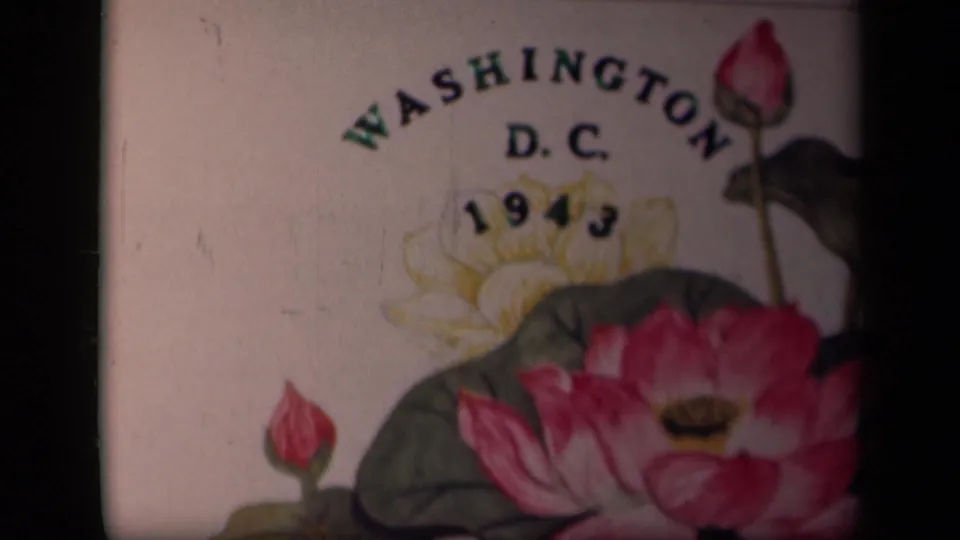 A soft 8mm frame shows the Washington D.C. 1943 floral title card with pink blossoms and visible gate edge.