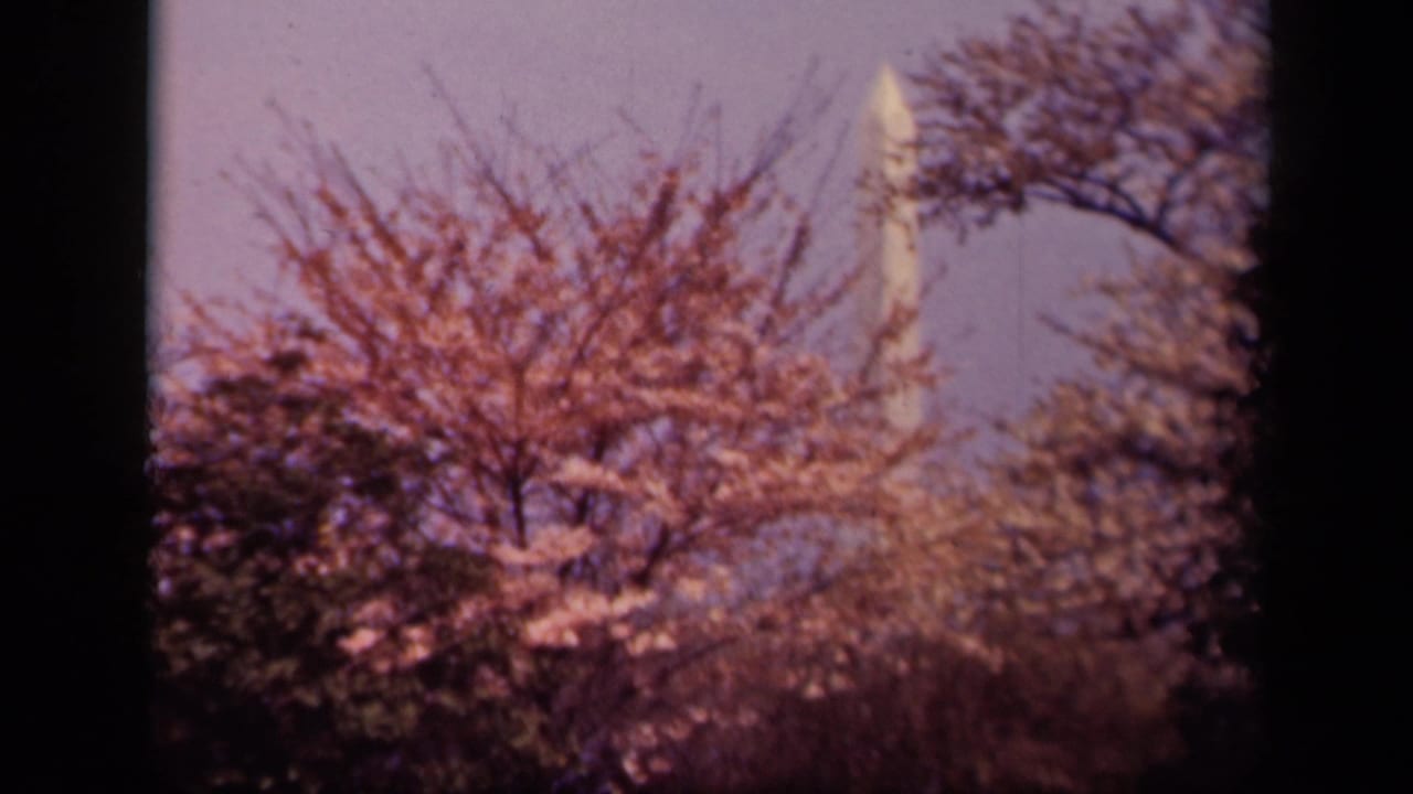 1943 Washington DC home-movie frame with the Washington Monument partly obscured by cherry blossom trees and a pale sky.