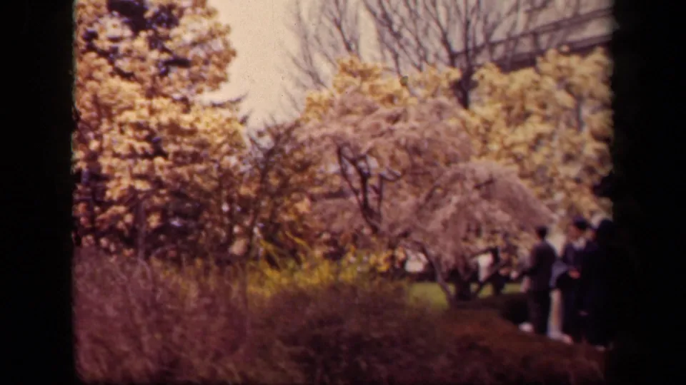 1943 Washington, DC home-movie frame with flowering trees, shrubs, lawn, a path, and distant park visitors in coats and hats.