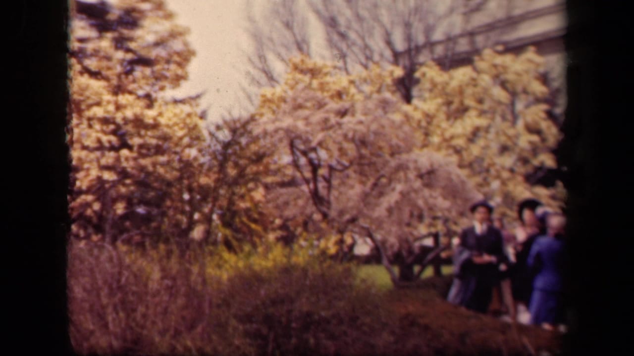 Women in traditional clothing walk near flowering trees in a garden.