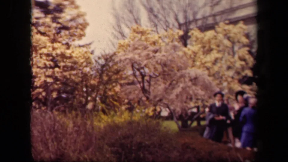 1943 Washington DC home-movie frame of women in traditional clothing walking beside shrubs and blooming magnolia trees in a garden.