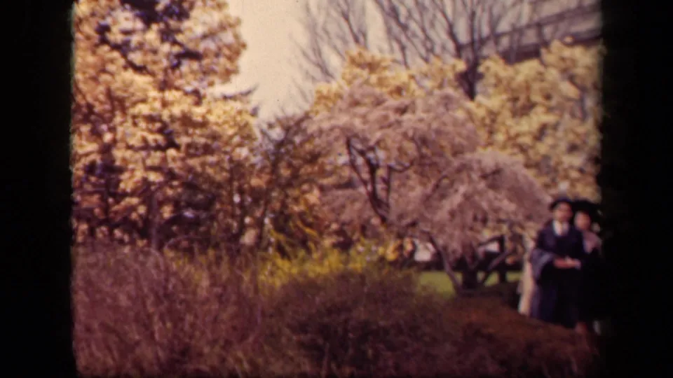 1943 Washington DC garden footage shows flowering trees and shrubs, with women in traditional clothing partly visible near the right edge.