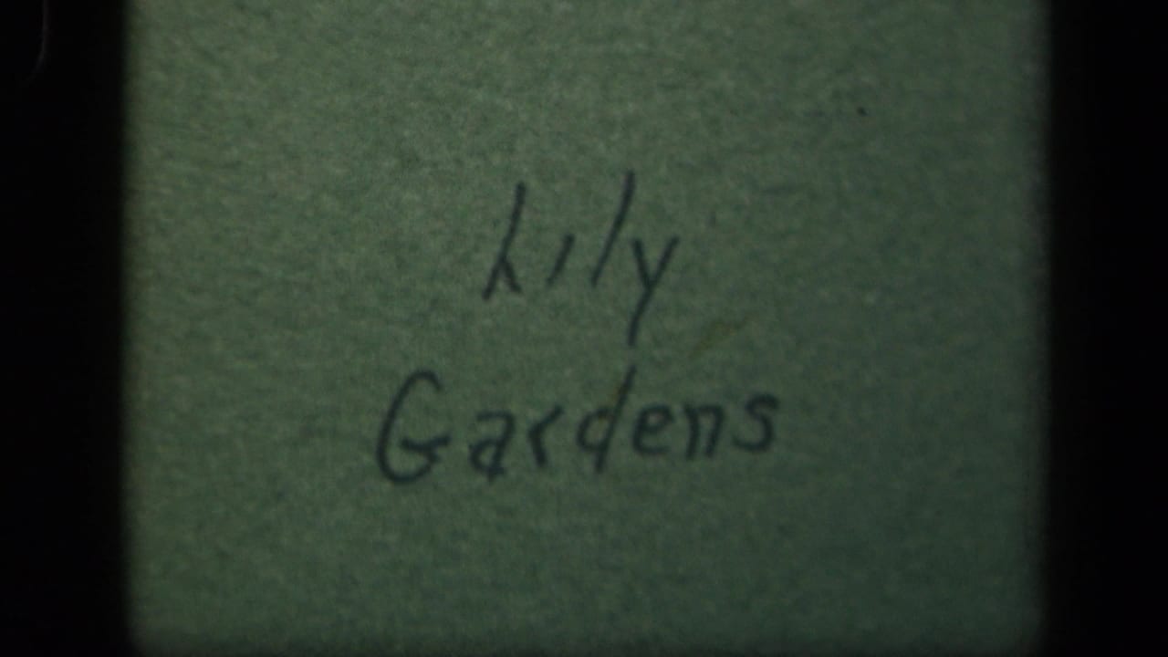 Handwritten lily gardens title card on a greenish surface in 1940s 8mm home-movie footage from the Washington, DC metadata context.