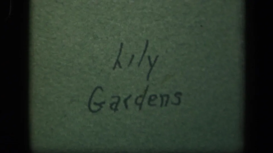 Handwritten lily gardens title card on a greenish surface in 1940s 8mm home-movie footage from the Washington, DC metadata context.