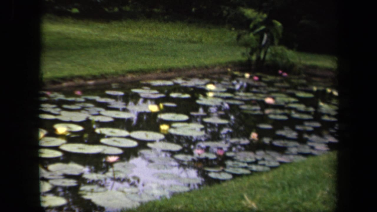 1943 Washington, DC 8mm frame showing a park pond with lily pads, small water lilies, grassy banks, and tree reflections.