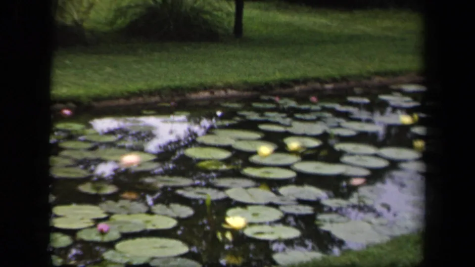 1943 Washington, DC home-movie frame showing a lily pond, grassy bank, and trees in soft 8mm color.