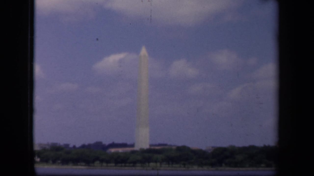 Washington Monument centered beyond trees with water in the foreground.