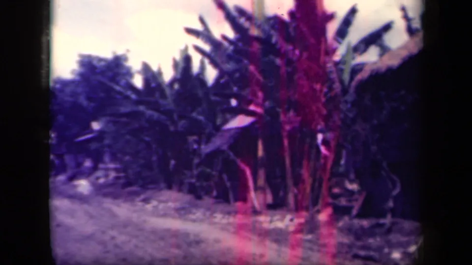 The road view shifts to dense banana plants and small structures along a dirt lane in the supplied Leyte Gulf setting.