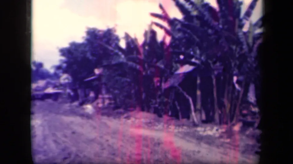 Leyte Gulf home-movie footage shows a dirt road bordered by banana plants, trees, and low village structures.