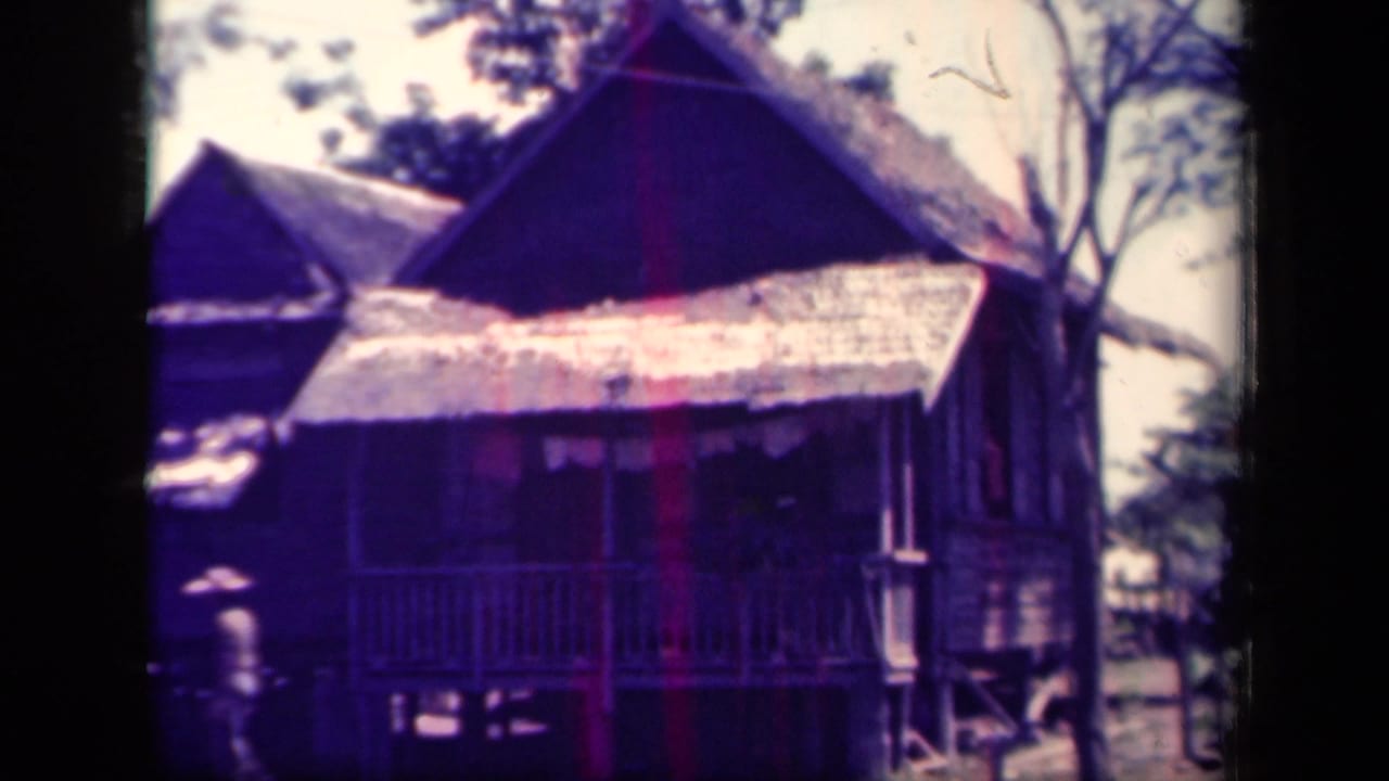 1944 Leyte Gulf home-movie frame showing raised wooden dwellings with thatched roofs, porch railings, trees, and a distant person.