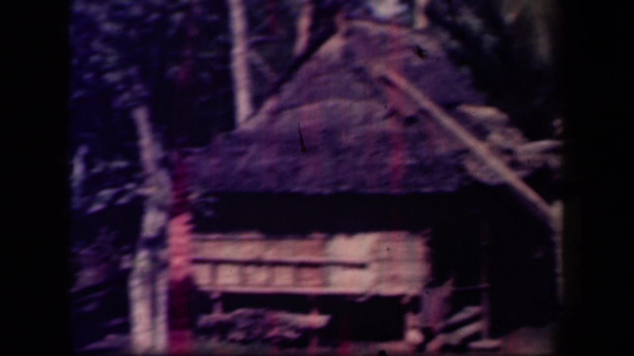 Thatched-roof hut among trees, partly blurred and tinted purple.