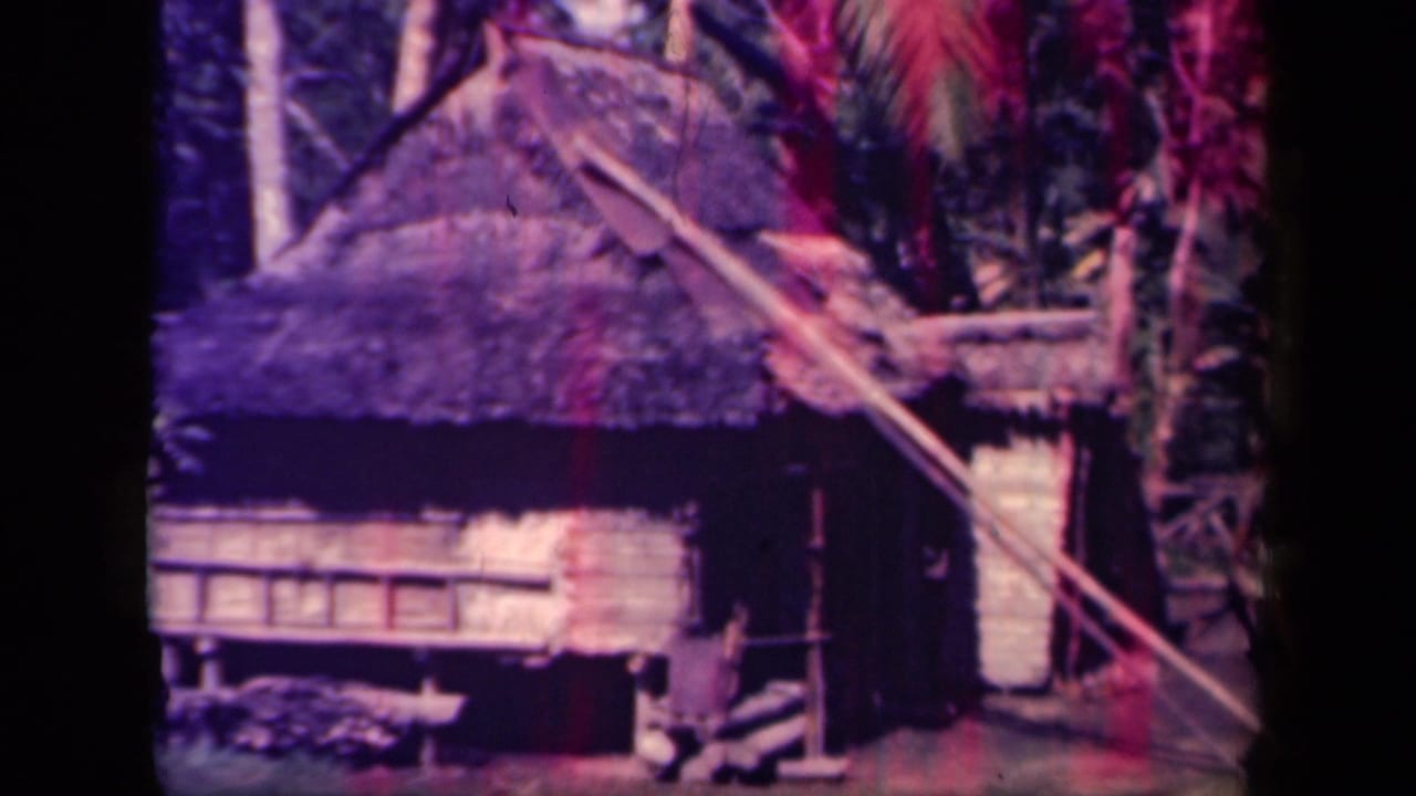1944 Leyte Gulf 8mm frame showing a thatched hut, timber siding, palms, and a diagonal pole in a tropical village setting.