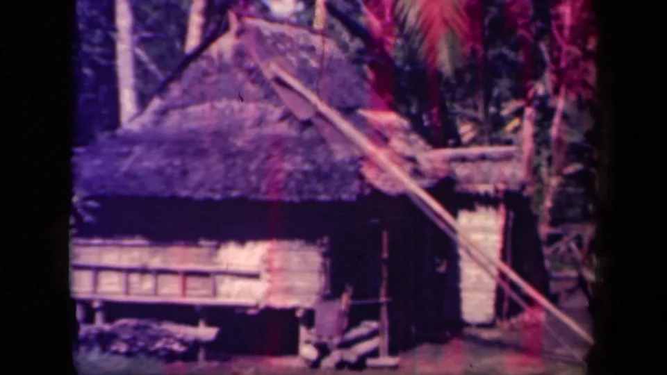 1944 Leyte Gulf 8mm frame showing a thatched hut, timber siding, palms, and a diagonal pole in a tropical village setting.