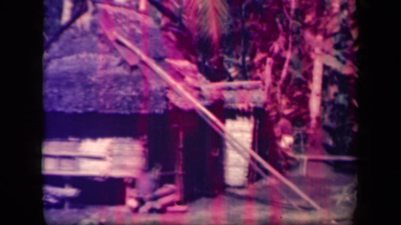 Thatched hut and palm trees with a diagonal pole in front.
